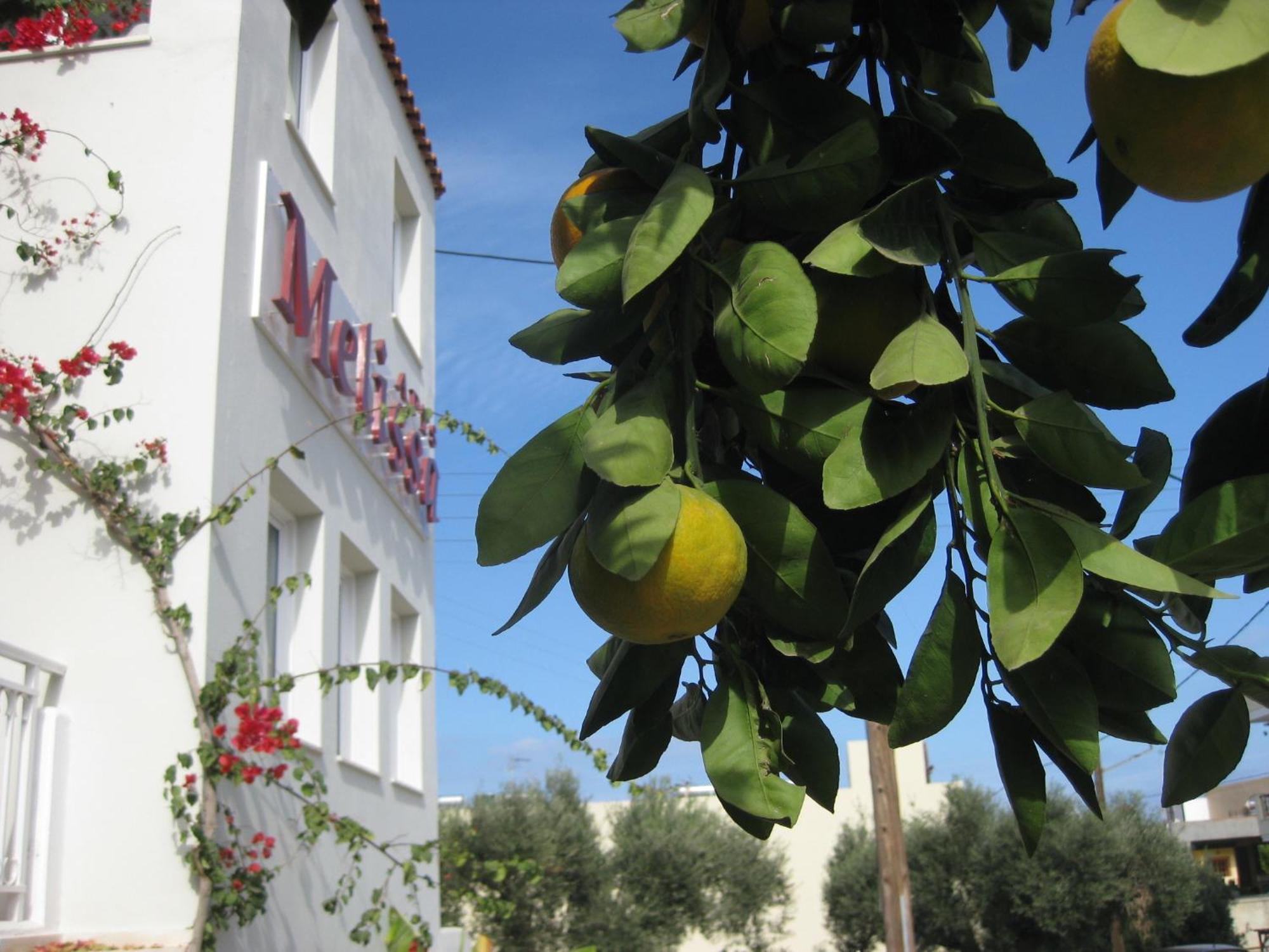 Melissa Apartments, Studios & Suites Malia Exterior foto